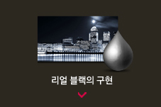 ���� ������ ����